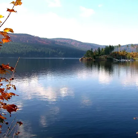 아파트 Tannenhof Fischbach - 6 