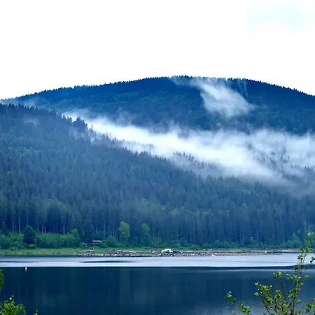 Tannenhof Fischbach - 6 