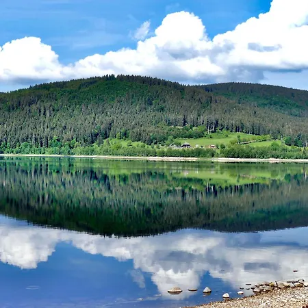 Tannenhof Fischbach - 6 